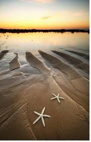 STARFISH ON BEACH @ SUNSET
