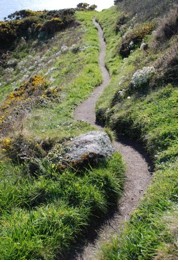 Cornwall Path, photo by Michael Wiese