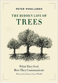 HIDDEN LIFE OF TREES BOOK COVER