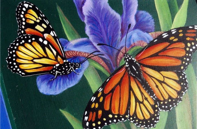 Monarch_Butterflies