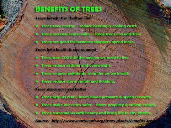 BENEFITS OF TREES