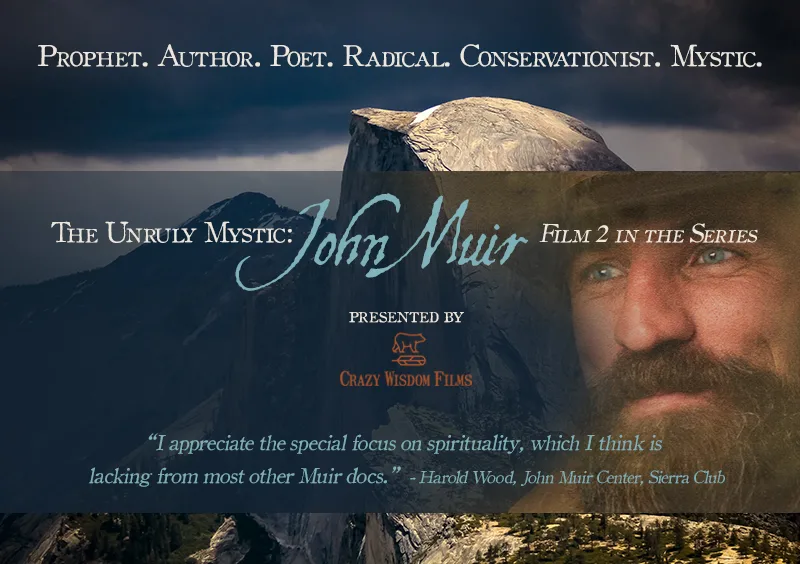 Monetizing Your Film Through Theatrical Distribution